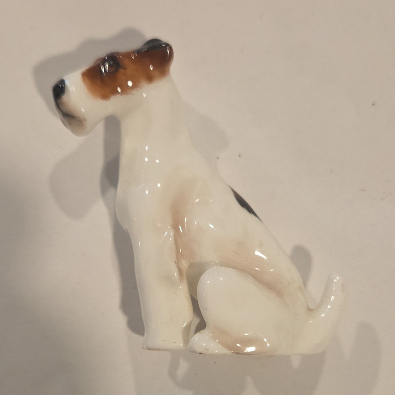 Royal Doulton Fox Terrier  Dog Figurine Glossy White Brown Black K8 R