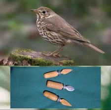 Richiami 🎶🎵 per tordo🐦  in legno/metallo vintage (3 Pz.)