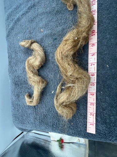 antique victorian blond long hair wig making piece doll wig making lot Human - Picture 4 of 20