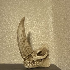 THE MANDALORIAN "MUDHORN MINI SKULL" Sculpture Regal Robot