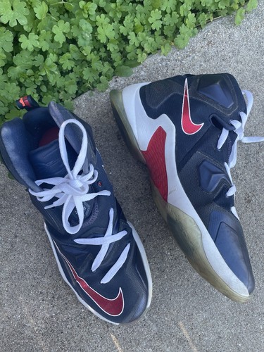 lebron james akronite