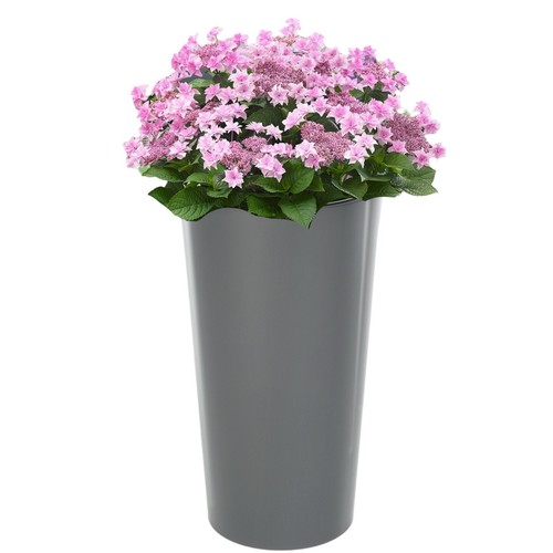 Blumenkübel Hochglanz Rund Slim Blumentopf Pflanzkübel anthrazit 5 Größen NEU! - Bild 16 von 17