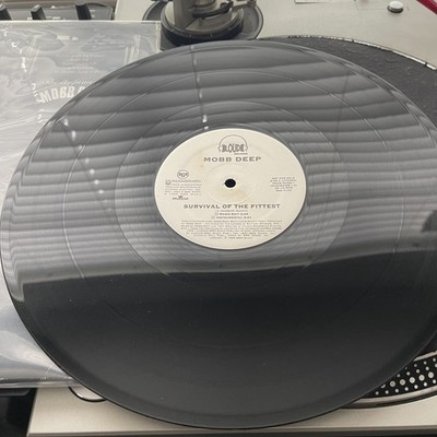 Mobb Deep - Survival Of The Fittest OG 1995 Press 12'' PROMO in OG Cover VG+/VG-