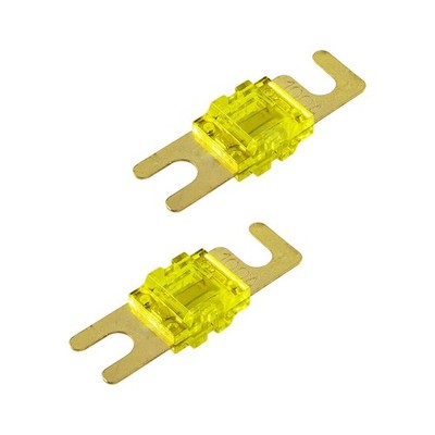 MINI-ANL-Sicherung 100A 2 Stück gold Streifen Batterie Auto Endstufe High Power