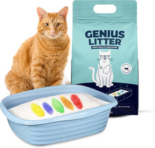 Health Monitoring Cat Litter, Featured on Shark Tank, Lightweight Crystal Silica
