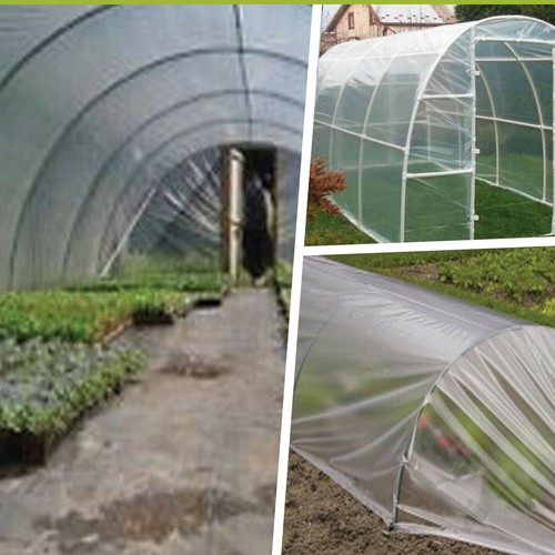 7 X 4M 250G CLEAR POLYTHENE PLASTIC SHEETING - Garden, Weeds, Gravel & Diy - Picture 2 of 7