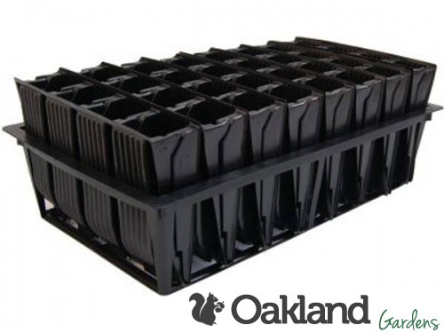 Haxnicks Deep Rootrainer Sets Wurzeltrainer Bücher Zellen Stecker