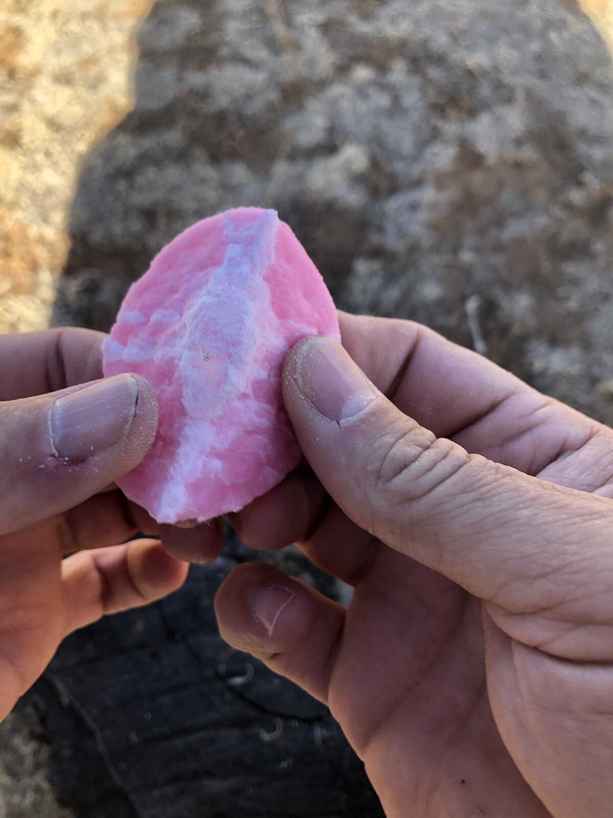 Southwest Survival Fire Starter Disc (8) Camping, Bush Craft