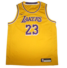 Nike Los Angeles Lakers LeBron James Basketball Jersey Boy's L
