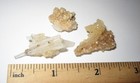 3 SMALL RARE NATURAL 0.75"-1.4" SCOLECITE & GOLDEN CALCITE CRYSTAL CLUSTERS 8.5g — photo 10