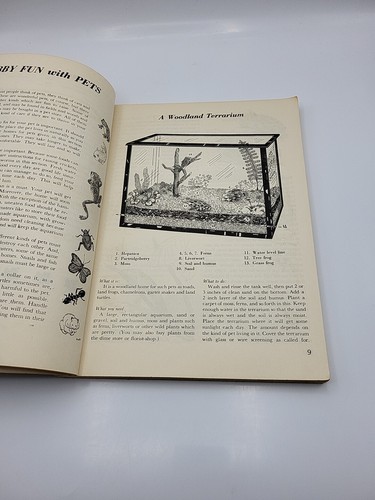 1952 Vintage Hobby Fun Book for Grade School Boys and Girls Science Art Projects - Foto 13 di 15