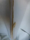 Picture 10 of 11