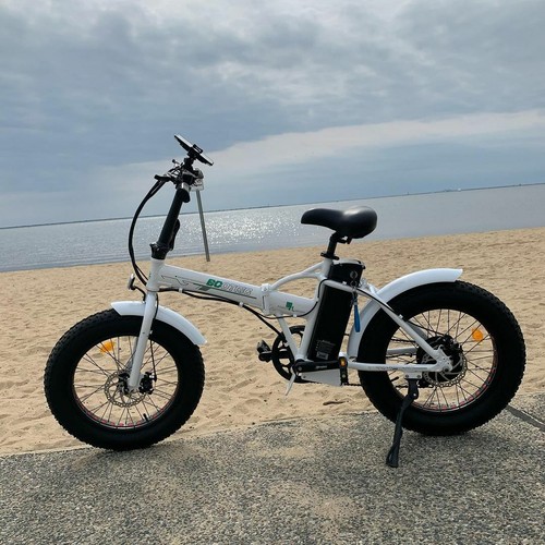 500W 36V Electric Bicycle Fat Tire 