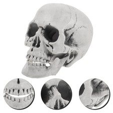  Plastic Skull Head Halloween Home Decor Statues Bones Decorations