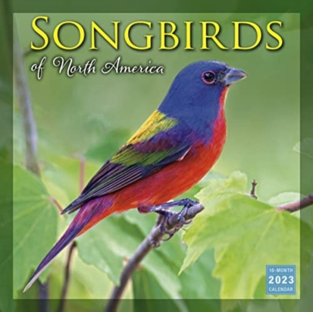 SONGBIRDS OF NORTH AMERICA by SELLERS PUBLISHING (Paperback Book)