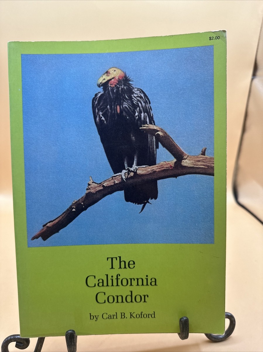 その他 Audubon: California Condor [VHS] Audubon's Watercolors Pl. 426, California Condor | Audubon's