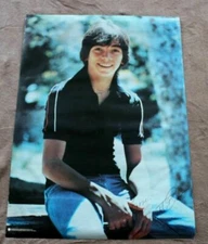 SCOTT BAIO 1978 Charles in Charge Happy Days TV Canada Kedd Pro Arts Poster FN