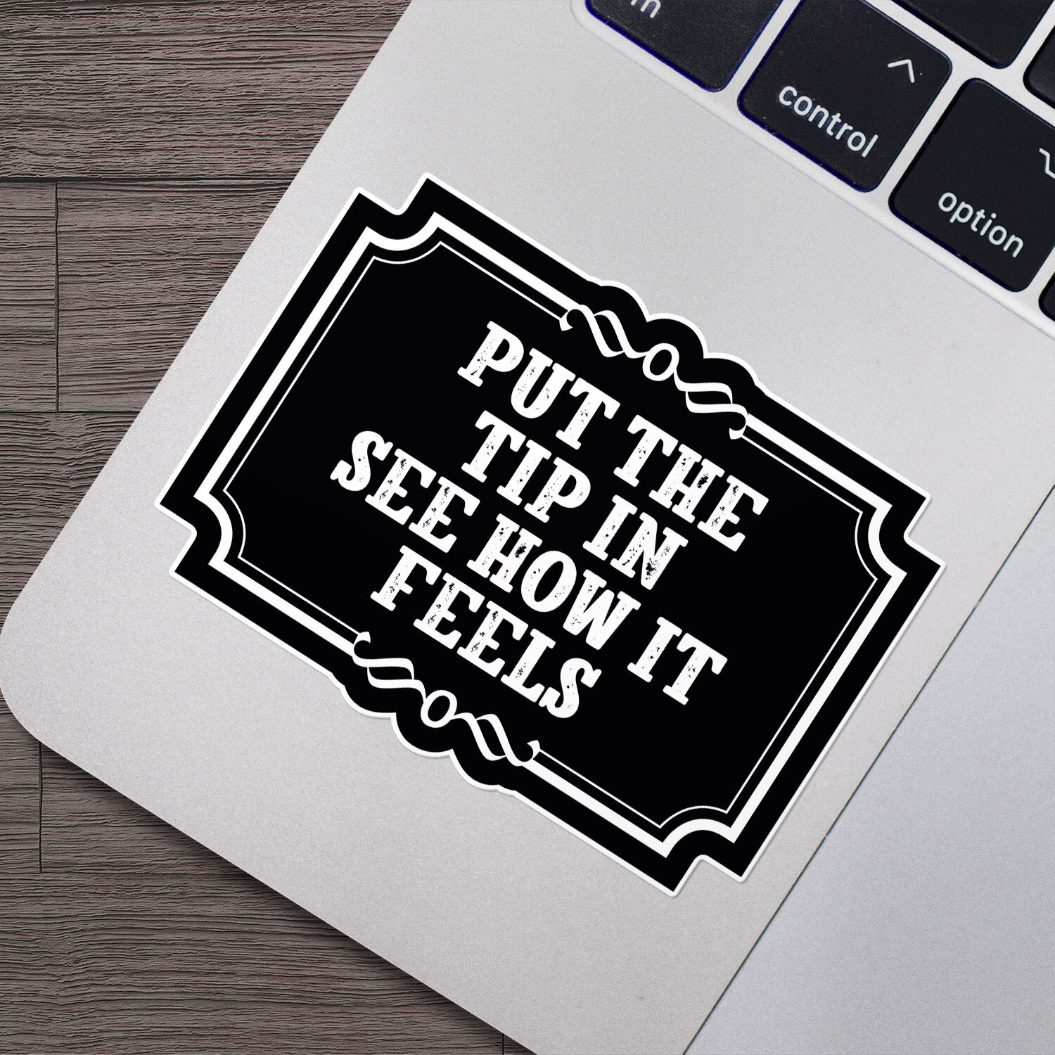 Put The Tip in See How It Feels Funny Sticker Vinyl Car Bumper Decal | eBay