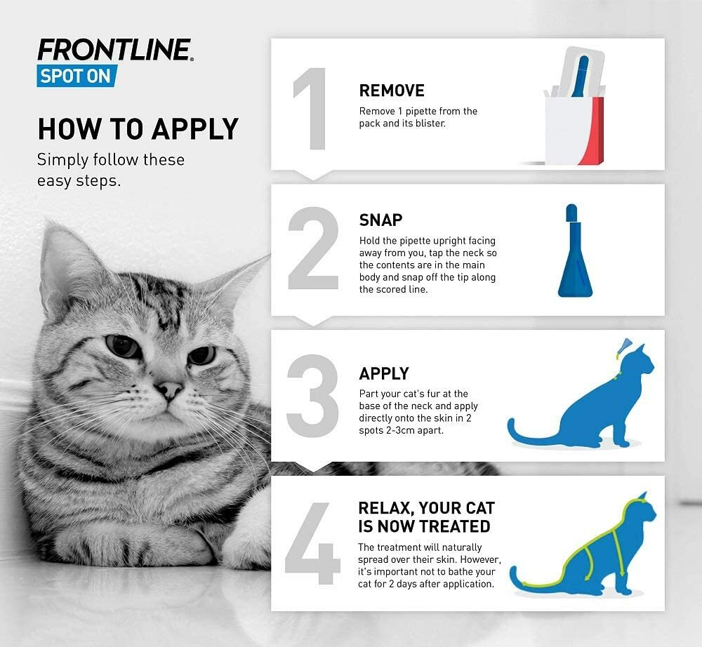 frontline for cats 6 pack