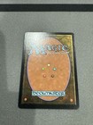 Picture 4 of 4