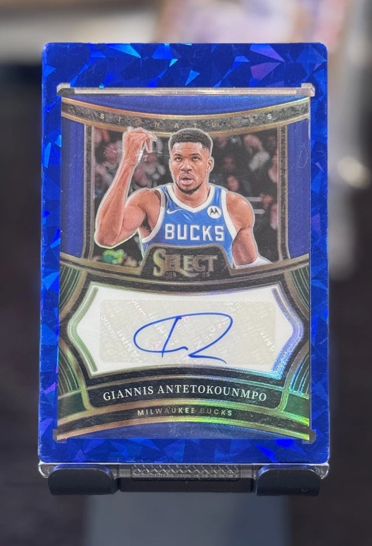 National Basketball Association (NBA) Giannis Antetokounmpo