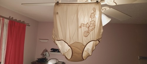 VAN RAALTE VINTAGE NYLON PANTY sz 6 CREAM SMOOTH FINISH w-LACE ROSE LNG #VRB30