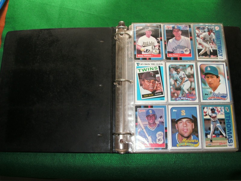 I HAVE A FOLDER OF BASEBALL CARDS!! 100+CARDS, FRANK THOMAS AND MANY MORE!!