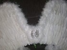 Picture 3 of 10