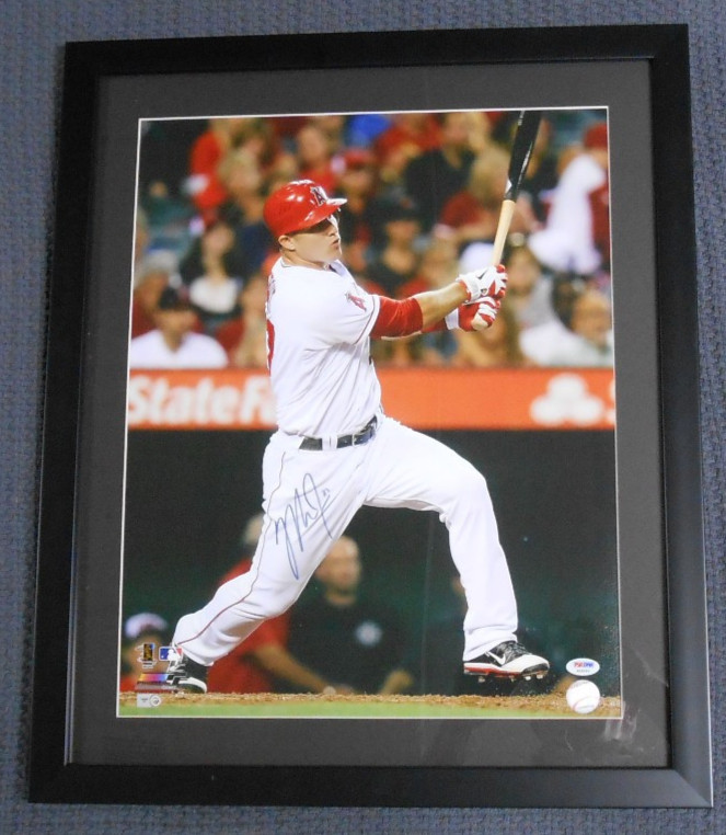 Mike Trout Signed 16 x 20 Photograph - PSA and MLB Authenticated