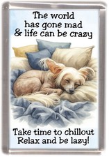 Calamita frigo cinese crestata per cani - di Starprint