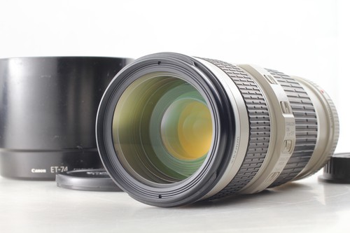 [Opt MINT w/ Hood] Canon EF 70-200mm f4 L USM Telephoto Zoom Lens From JAPAN