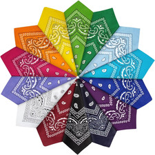 14 Pcs Bandanas Paisley Unisex Bandana Cowboy Headwraps Scarfs  22 x 22 in, Mul
