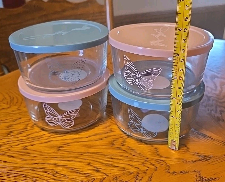 Contenedor de 4 cuencos de almacenamiento de alimentos de vidrio Dolly Parton 16 OZ rosa mariposa/azul 🦋 Foto 4 de 4