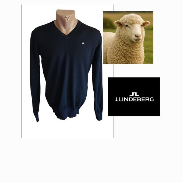 Men J.Lindeberg Sweater Navy Wool 38 / M / 46 #9D27