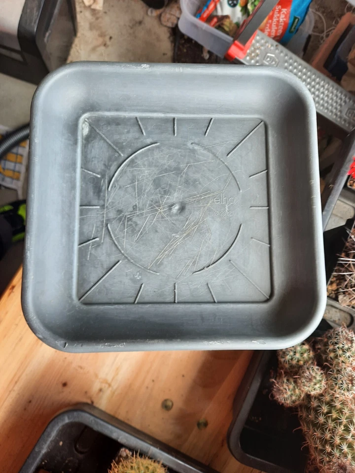  6 pflanzentopf untersetzer - Bild 2 von 2