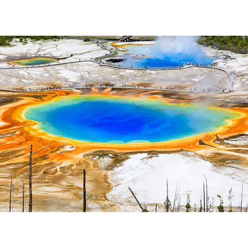 4 postales lenticulares 3D de Yellowstone Nat'l Park - NUEVAS - Imagen 5 de 5