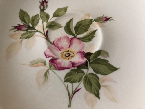 Special Listing for cdklmm - American China Briar Rose Lot