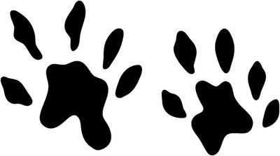 Otter Track Decal STA Vinyl Window Die Cut Sticker for Truck, Laptop, Car, Boat.