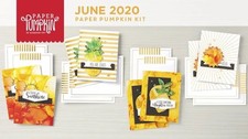 June 2020 Paper Pumpkin  Box of Sunshine FULL Kit with stamps  ink   Stampin Up