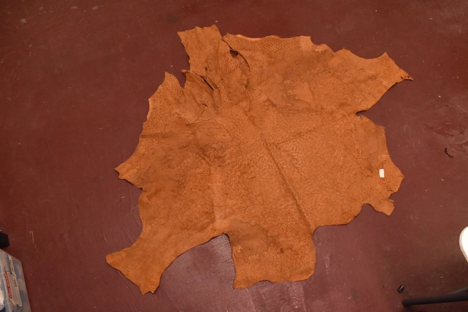 Piel de avestruz color coñac 65" x 54" Foto 2 de 4