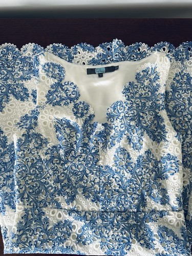 Anthropologie Starflower Scalloped Dress Eva Franco Blue Eyelet White New USA 10 - 第 1/11 張圖片