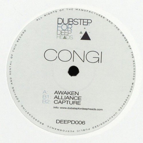 Drum n Bass Dubstep House Dance Vinyl 12" Singles - All Mint - Buy 5 Get 1 Free - Picture 23 of 64