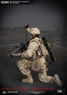 Damtoys 1/6 78014 Usmc Reconnaissance Battalion M27 Rifl Action