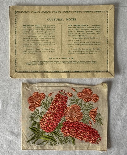 KENSITAS Cigarettes Silk Flowers ESCHSCHOLTZIA TEN WEEKS STOCK Postcard Folder