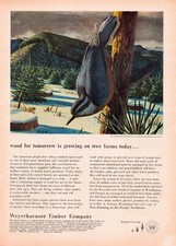 Weyerhaeuser Timber Co Red-Breasted Nuthatch Seattle WA Vtg Magazine Print Ad