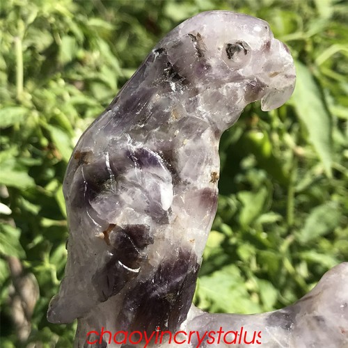 0.41LB Natural Dreamy Amethyst parrot Skull Quartz Crystal Carved XK1434-05-A - Picture 9 of 12