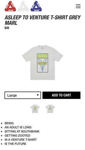 CAMISETA PALACE ASLEEP TO VENTURE (MARGA GRIS) (GRANDE) SS20 TRI-FERG COLOR BLUR - Imagen 18 de 18