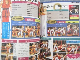NEO GEO FIGHTING Guide Book Ltd Booklet Fatal Fury World Heroes Jet AES SeeCondi