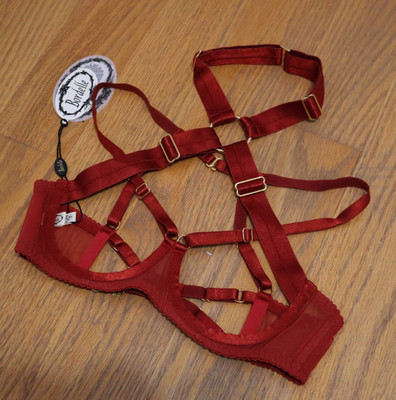 Bordelle Tomoe Ouvert Wire Bra Open Cup Burnt Red XS SS Extra NWT SIGEXCLB11BR