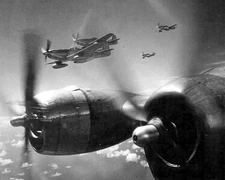 North American P-51 Mustang World War II WWII WW2 8x10 Photo 413c